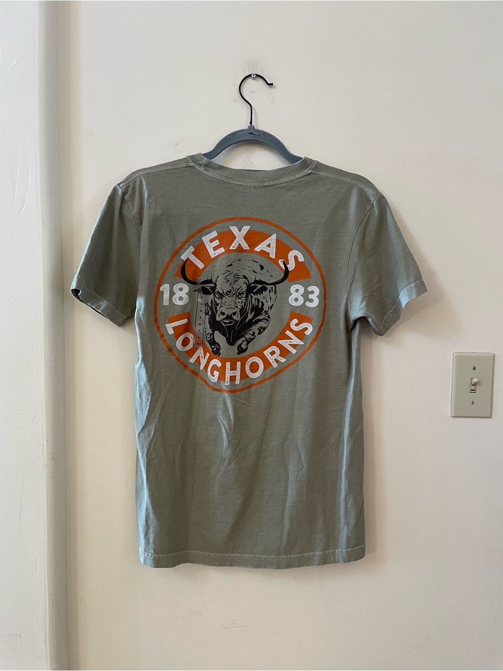 NWOT Comfort Colors Texas Longhorns Graphic Tee Gray Small